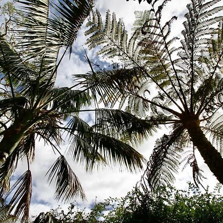 Cowaramup Rusticoq B+B المظهر الخارجي الصورة